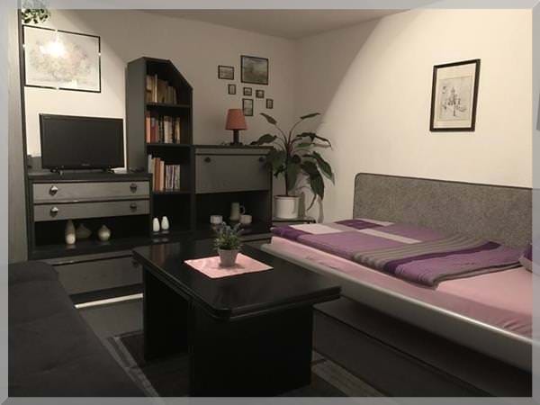 Schwarzes Zimmer Pension Deparade Altenburg – moderne Unterkunft